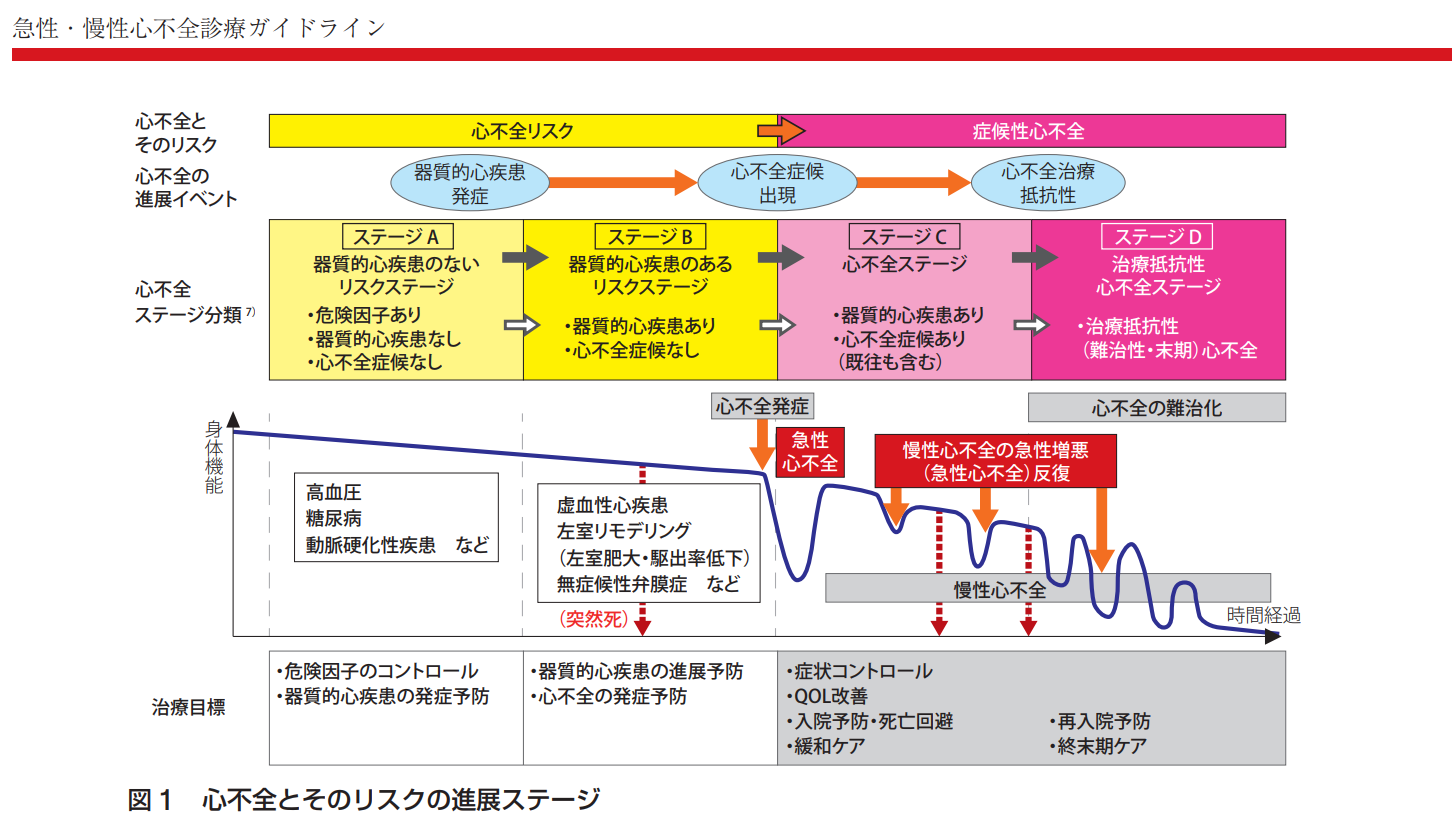 日本循環器学会、日本心不全学会らから「急性・慢性心不全診療ガイドライン（2017年改訂版）」が発表されました。 | お茶の水循環器内科