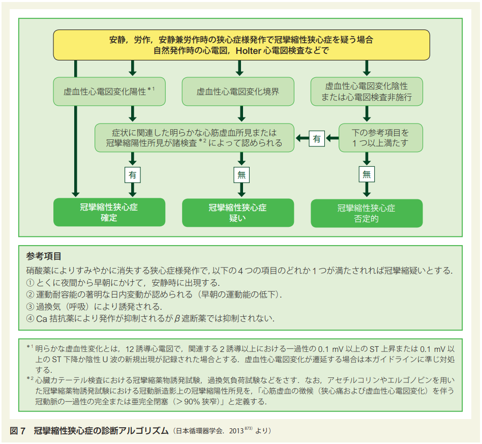 日本循環器学会「急性冠症候群診療ガイドライン（2018 年改訂版