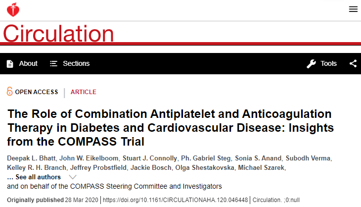 併用療法とは何ですか?