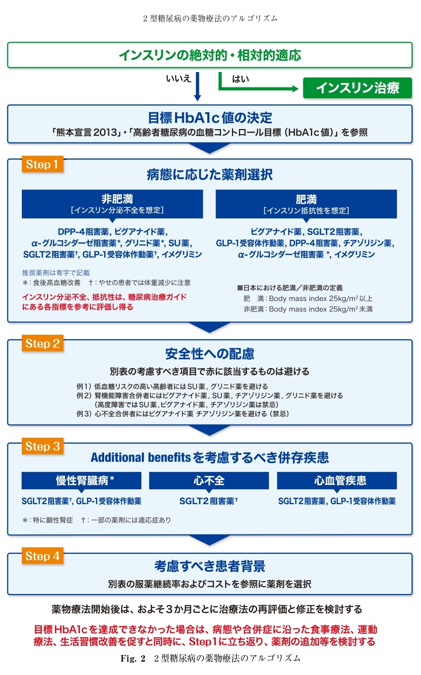 日本糖尿病学会「2型糖尿病の薬物療法のアルゴリズム」の要旨をまとめました。 | お茶の水循環器内科院長ページ